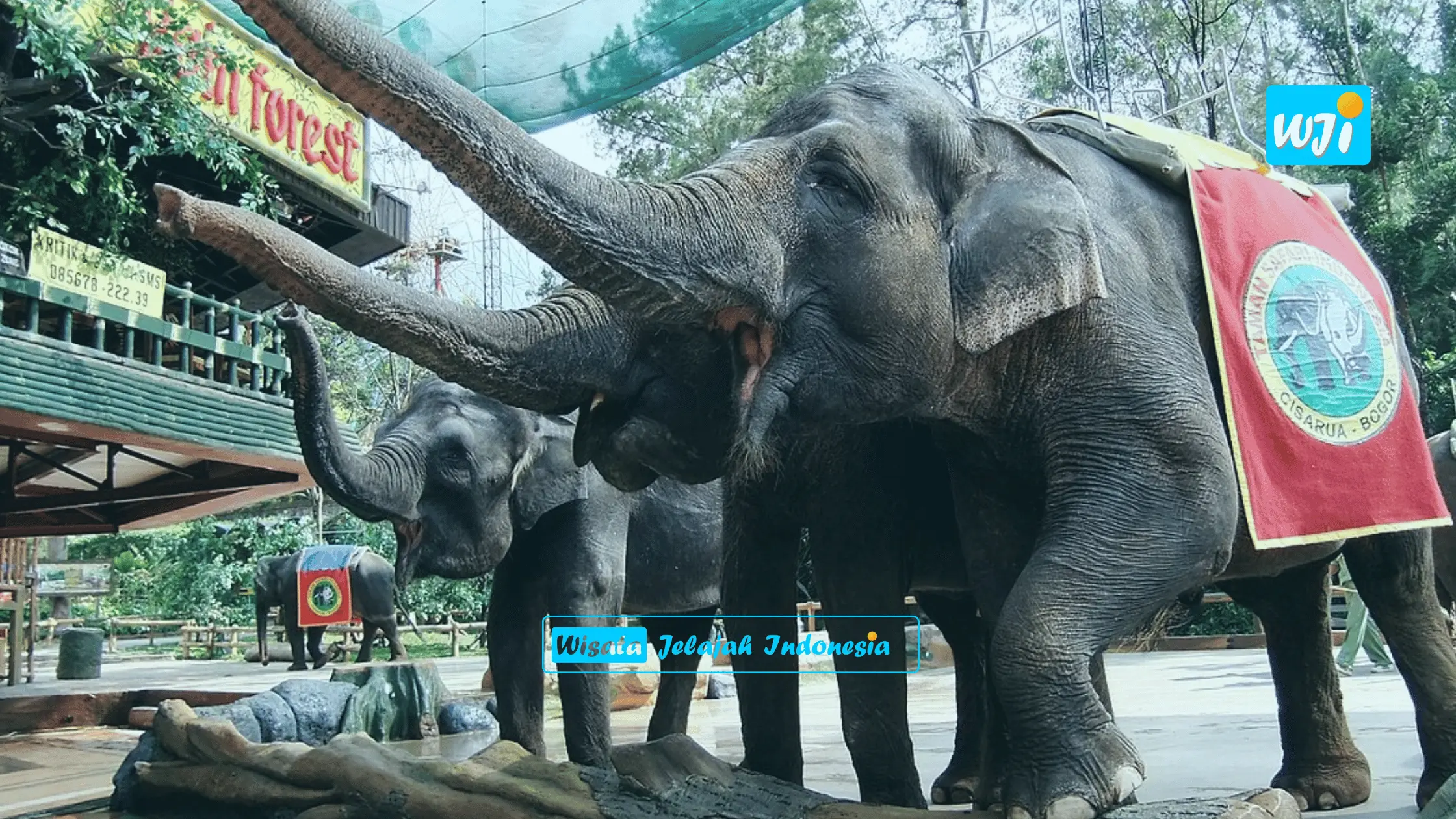 taman safari indonesia